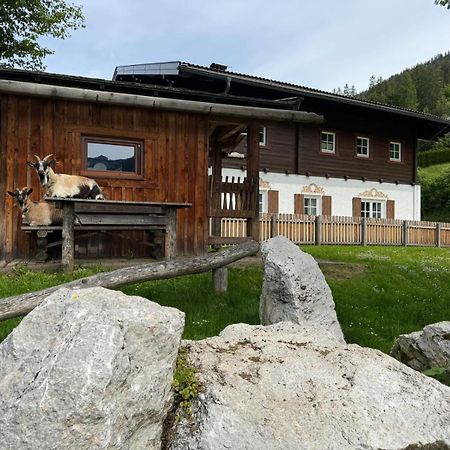 Appartements Zahnleiten Untertauern Esterno foto
